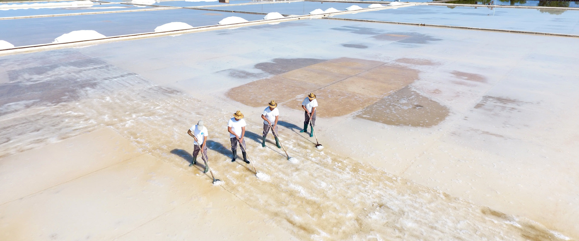 Vier Arbeiter ernten in den flachen Becken der Solana Nin in Kroatien traditionell Meersalz von Hand.